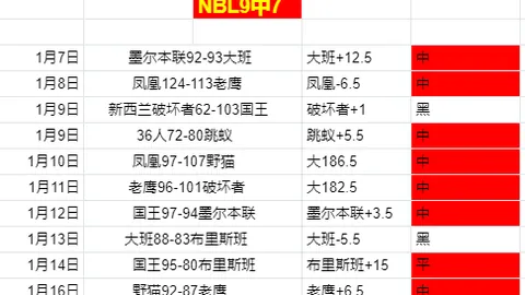揭秘昨夜3胜2负NBA关键对决：太阳与篮网生死临界值大揭秘！