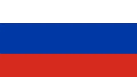 南非橄榄球世界杯夺冠，12月15日成为全国法定假日——环球时报